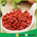 Hochwertige frische Goji Beeren für freies Beispiel goji